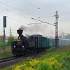 20120512_Hluboka_n_Vlt_akce_Zoo_310093_small_37